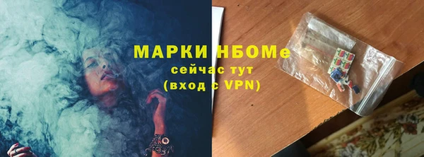 прущие грибы Елизово