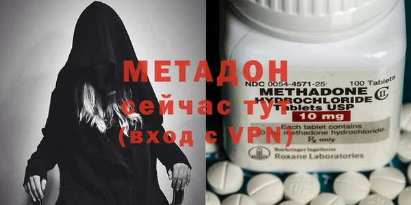 прущие грибы Елизово