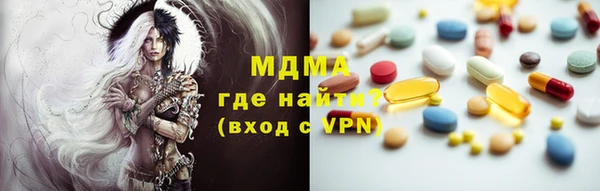 прущие грибы Елизово