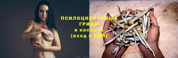 прущие грибы Елизово