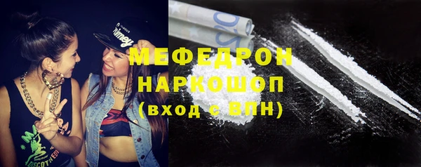 прущие грибы Елизово