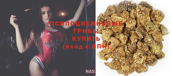 прущая мука Елабуга