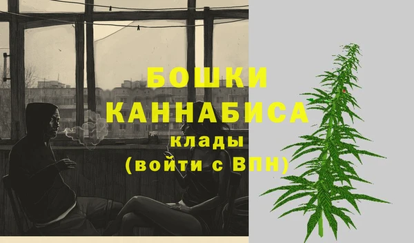 прущие грибы Елизово
