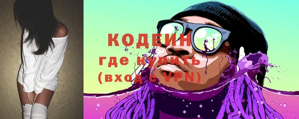 прущие грибы Елизово